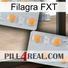 Filagra FXT 25